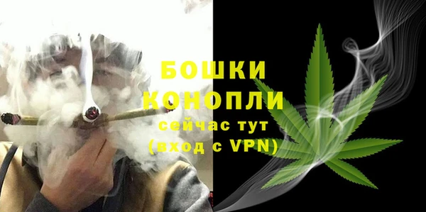 сатива Нея