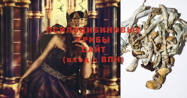 сатива Нея