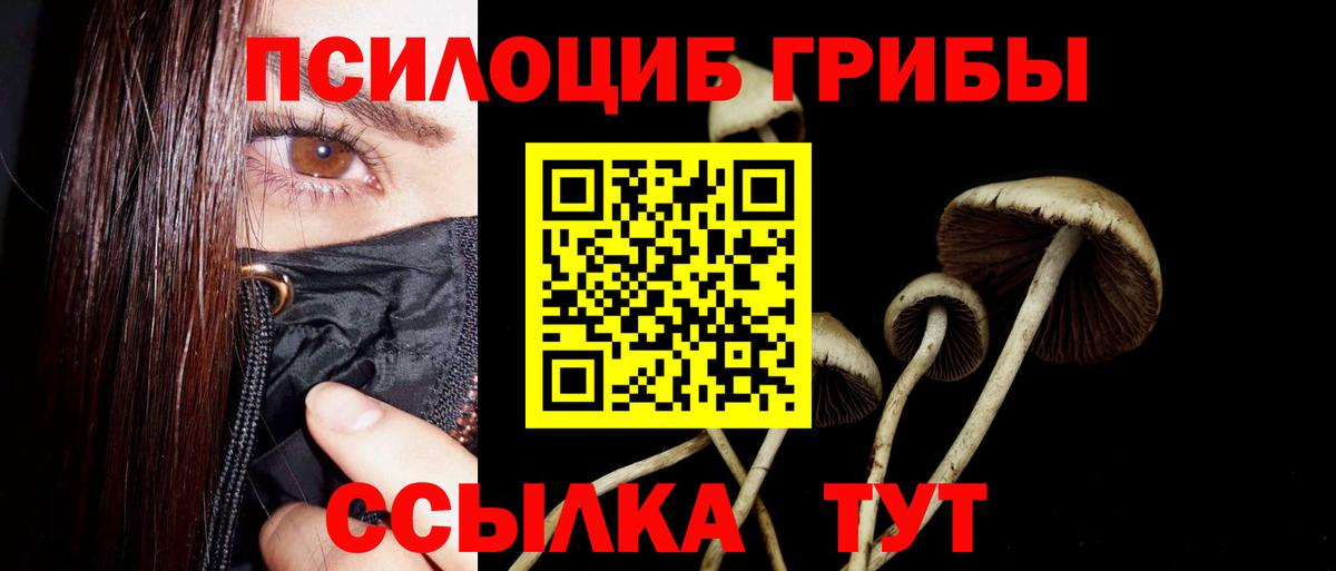 Усть-Илимск  Галлюциногенные грибы мицелий  Псилоцибиновые грибы GOLDEN TEACHER  Вход с VPN 