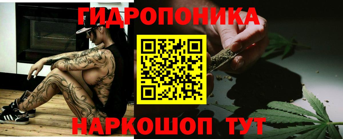 Бошки Шишки конопля Усть-Илимск